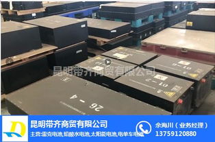 紅河鋰電池及回收服務——帶齊商貿為您提供優質解決方案